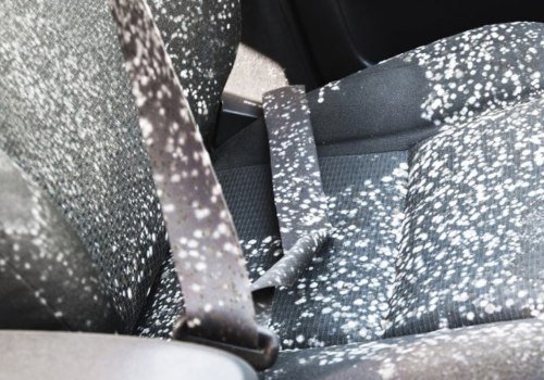 Will car detailing remove mold?